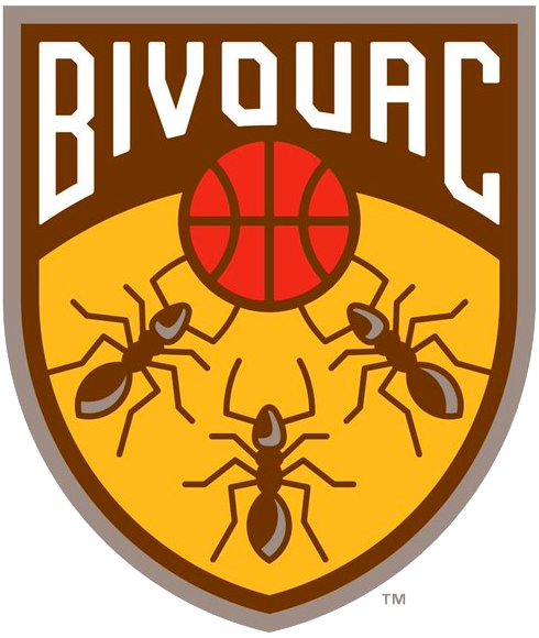 Bivouac 2019-Pres Primary Logo iron on transfers for T-shirts